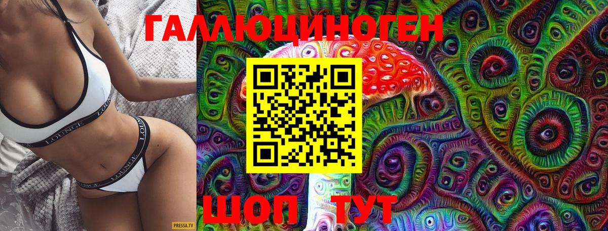 Галлюциногенные грибы мухоморы Гусиноозёрск