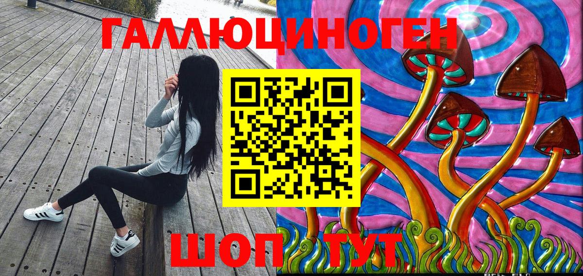 Галлюциногенные грибы прущие грибы  Галлюциногенные грибы прущие грибы  Гусиноозёрск 