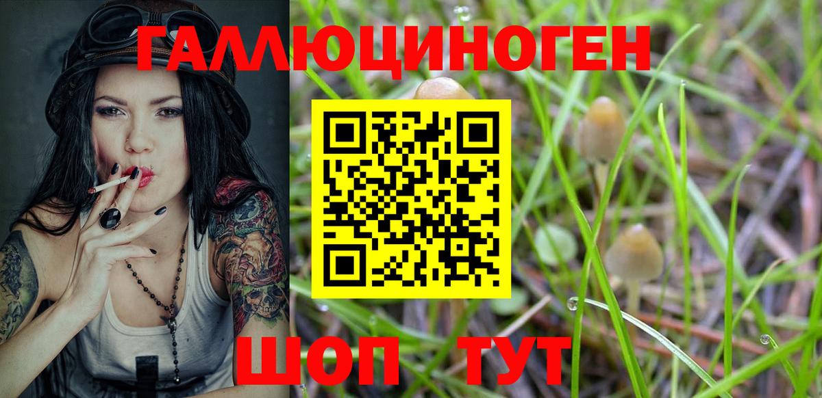 Псилоцибиновые грибы мицелий  Вход с VPN  Гусиноозёрск 